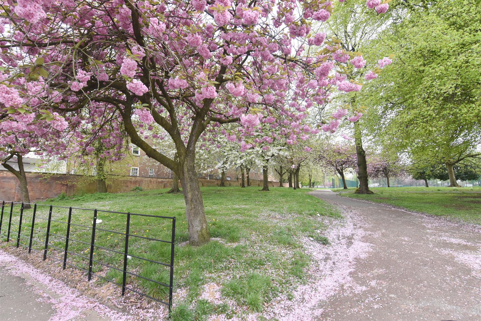 Skipton Road,Edgbaston